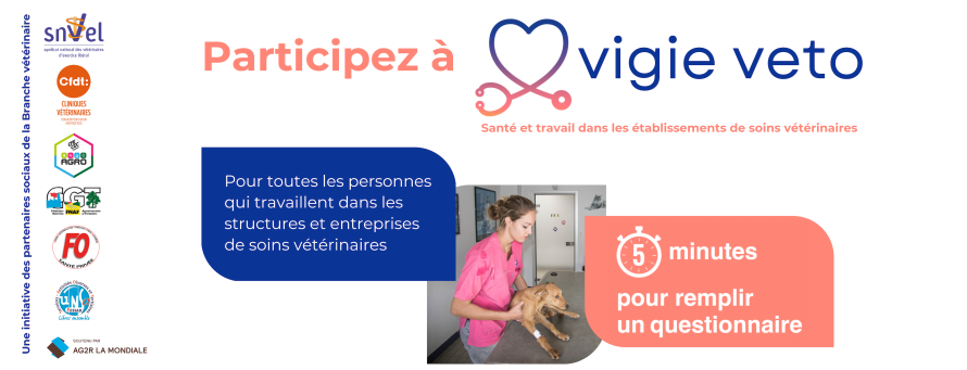 Vigie Veto enquete Sante au travail